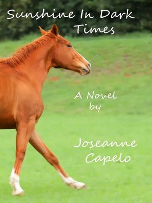 cover image of Sunshine in Dark Times